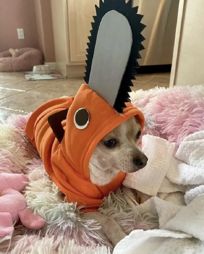 Anime Chainsaw Man Pochita Pets Cosplay Costume for Cat Dog Pet Uniform Power Denji Cute Pets Orange Outfits Clothes