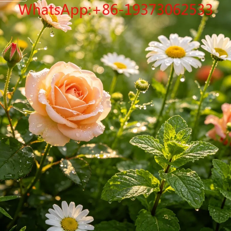 Датчик центрального кондиционера TDR0009Eдатчик давления X13740184-01 (art.: 3920dc4606fb6) - 3920dc4606fb6