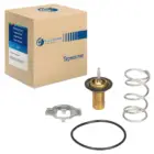 Термостат для автомобилей ГрантаDatsun on-Do (термоэлемент, обрезиненный клапан) (