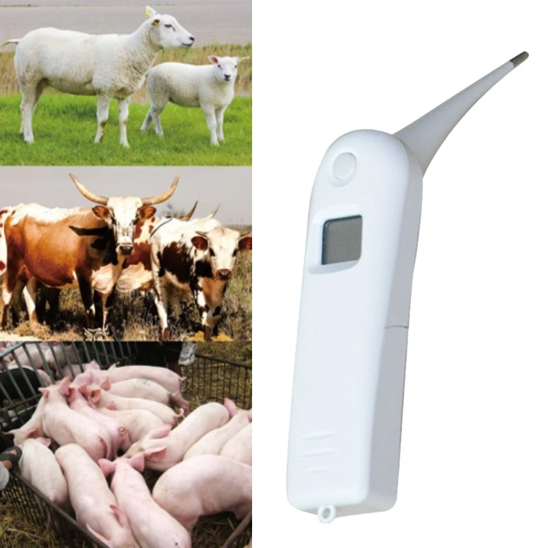 Veterinary Thermometer Fast Thermometer Gives Accurate Temps Beeps Indication Auto Turn Off for Dog Cat Horse Pig Pet Car Thermo