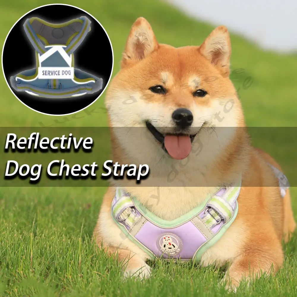 Светоотражающая дышащая шлейка-поводок для собак Регулируемый жилет среднего и