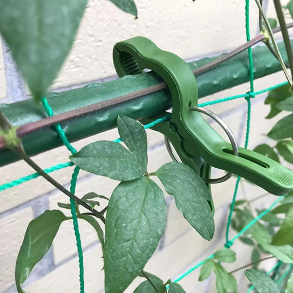 

20/30Pcs Plastic Garden Vine Strapping Clips Tie Plant Tool Tomato Support Plants Bundled Buckle Garden Holder Stand Z6O0