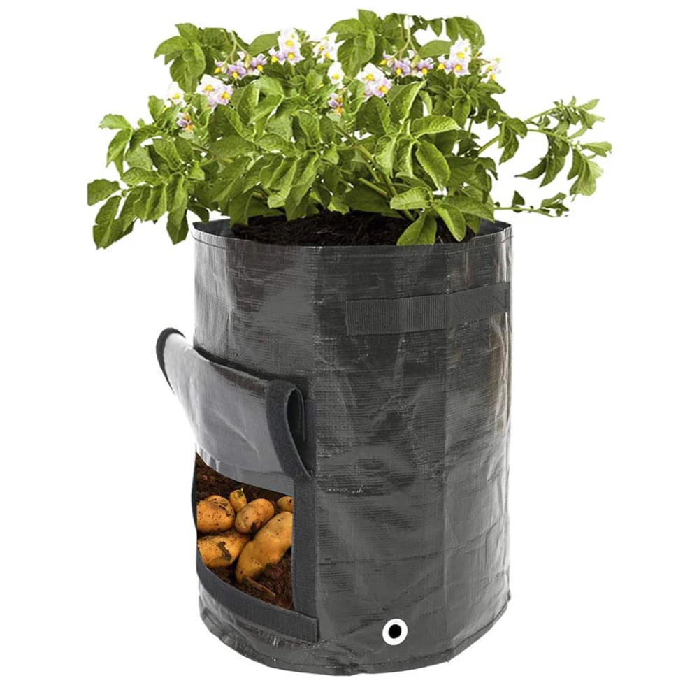 

Plant Groeien Zakken 10 Gallon Zware Verdikte Groeiende Tassen Tuin Plantaardige Planter Met Handvatten