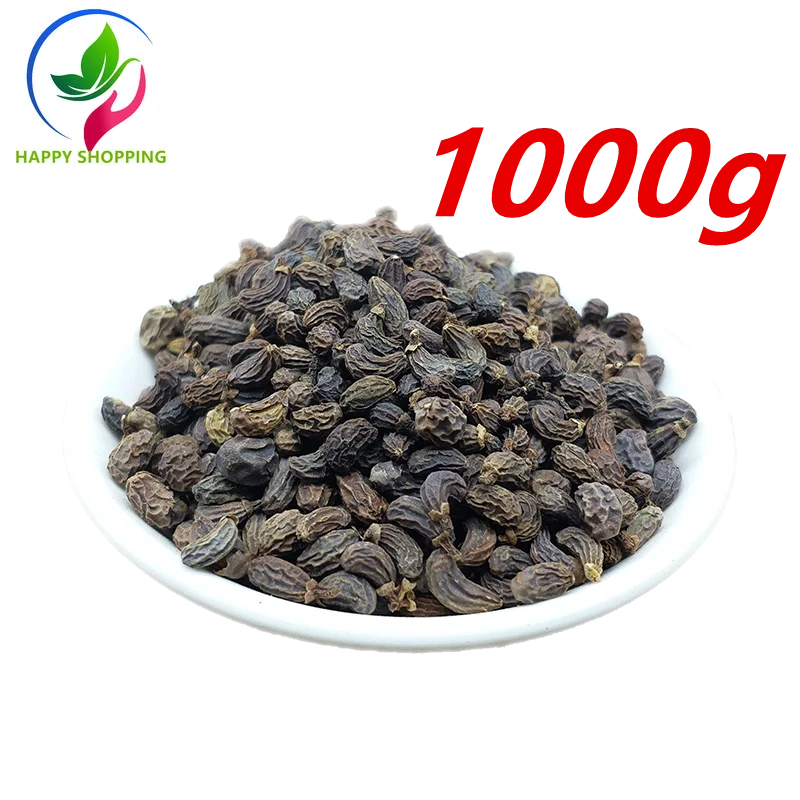 Фрукты глянцевого лигустрия люцида бесплатная доставка Холли люцид zhenzi |