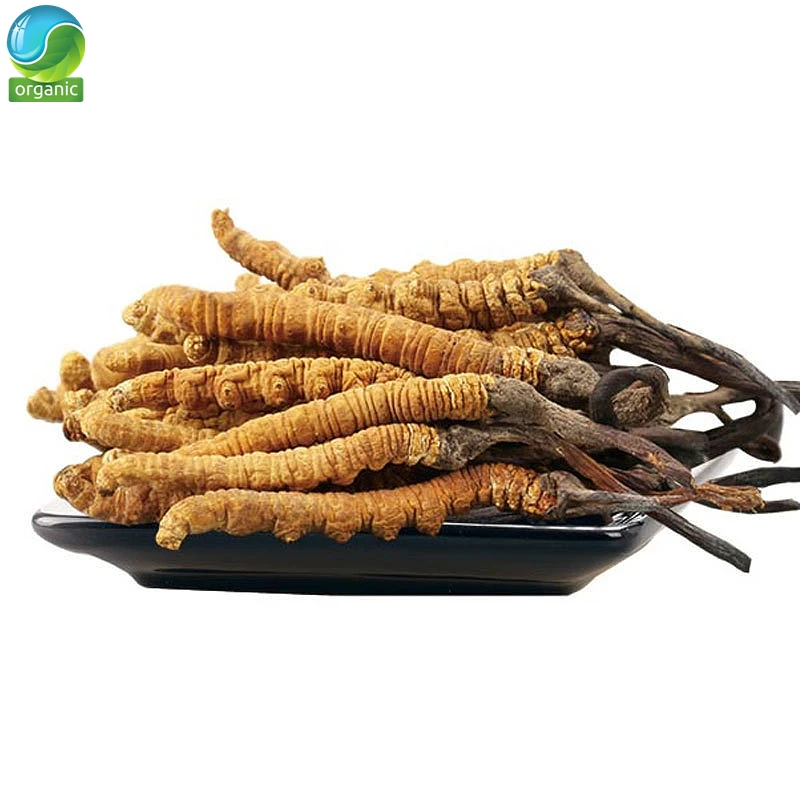 

Cordyceps Sinensis порошок
