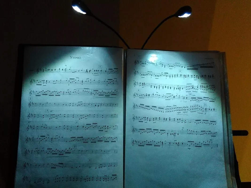 

2023NEW Led Adjustable Goosenecks Clip on LED Lamp for Music Stand and Book Reading Night Light Clip Lamp Book Light Rechargeab