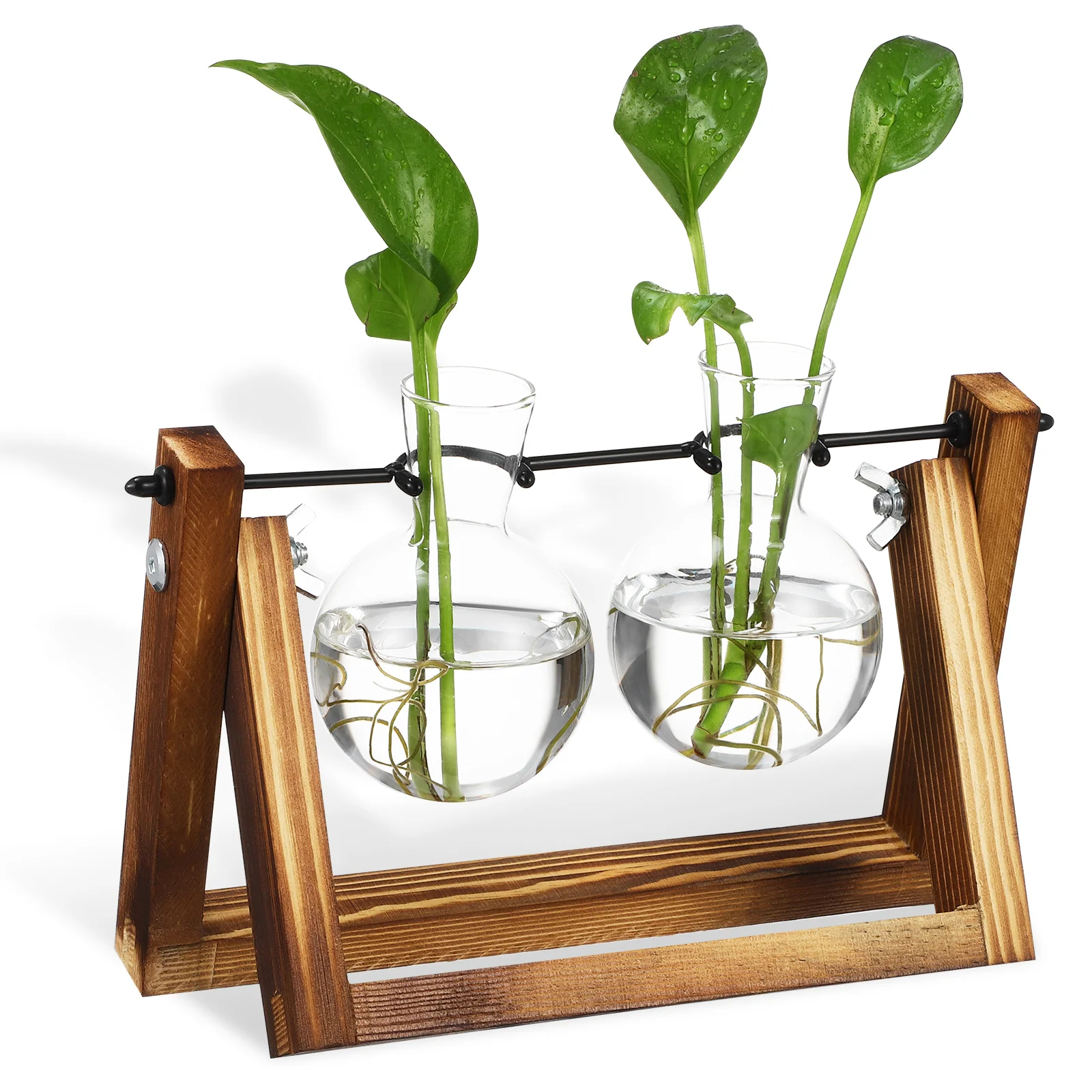 

Vase Terrarium Propagation Planter Station Holder Stand Hydroponics Air Wooden Bulb Succulent Clear Hanging Vases Tube Test