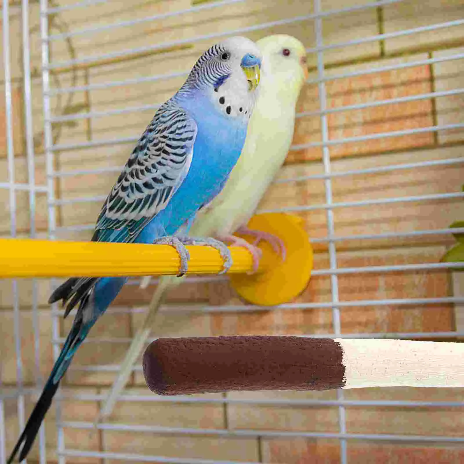

Bird Stand Parrot Perch Resistant Cage Bite Wear Household Accessory Daily Funny Compact