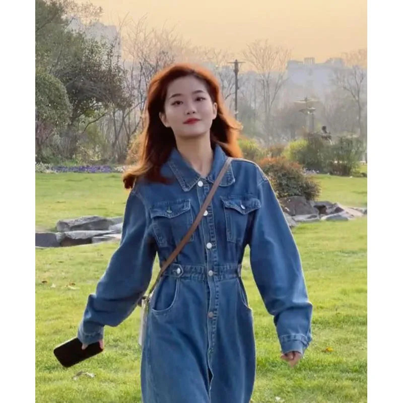 Осенняя одежда для женщин 2024 новое французское платье High Sense Demin длинная юбка