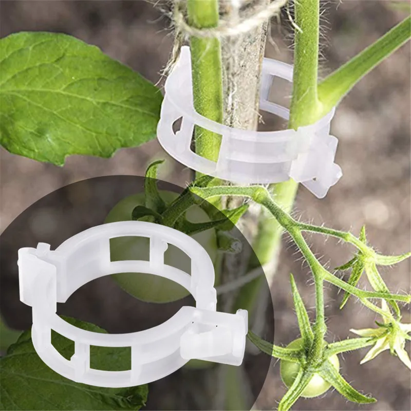 

100/50Pcs Plastic Plant Support Clips For Tomato Hanging Trellis Vine Connects Plants Greenhouse Vegetables Garden Supplies