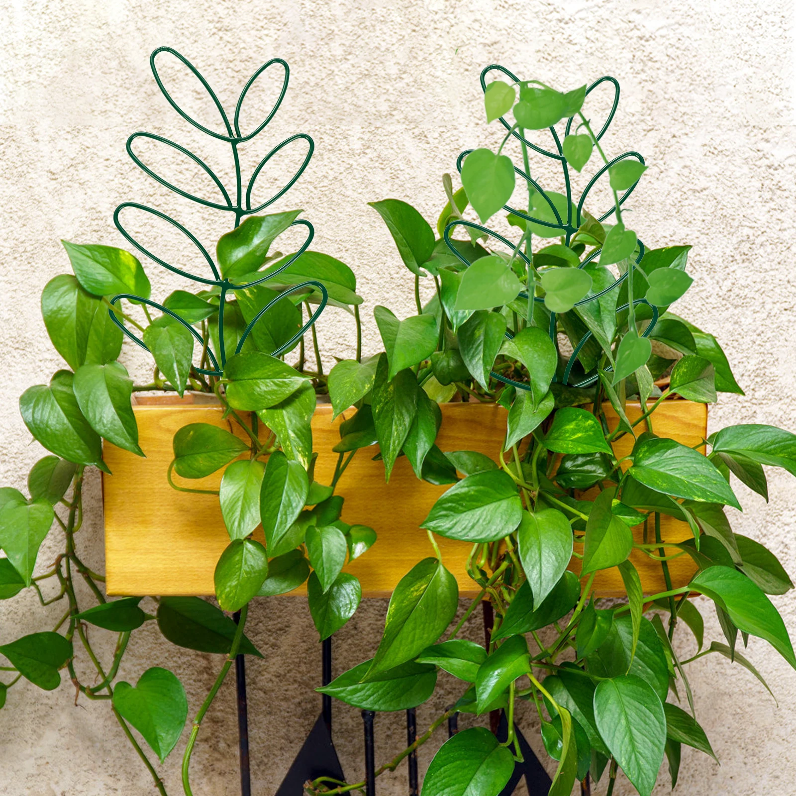 Plant Trellises Leaf Support Stand Beautiful Easily To Use Reused Black New Durable Rattan Climbing Iron Flower Rack - купить по