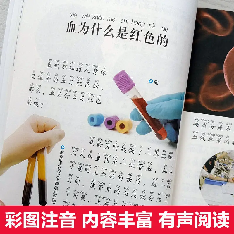 Encyclopedia Of The Human Body Color Picture Phonetic Primary School Students Full Version