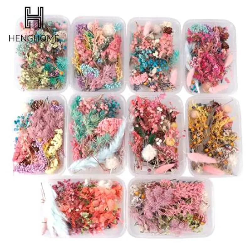 

Random 1 Box More Than 8 Style Mix Flower Pressed Dried Dry Leaves Plants For wedding home party Decors Making DIY Accessories