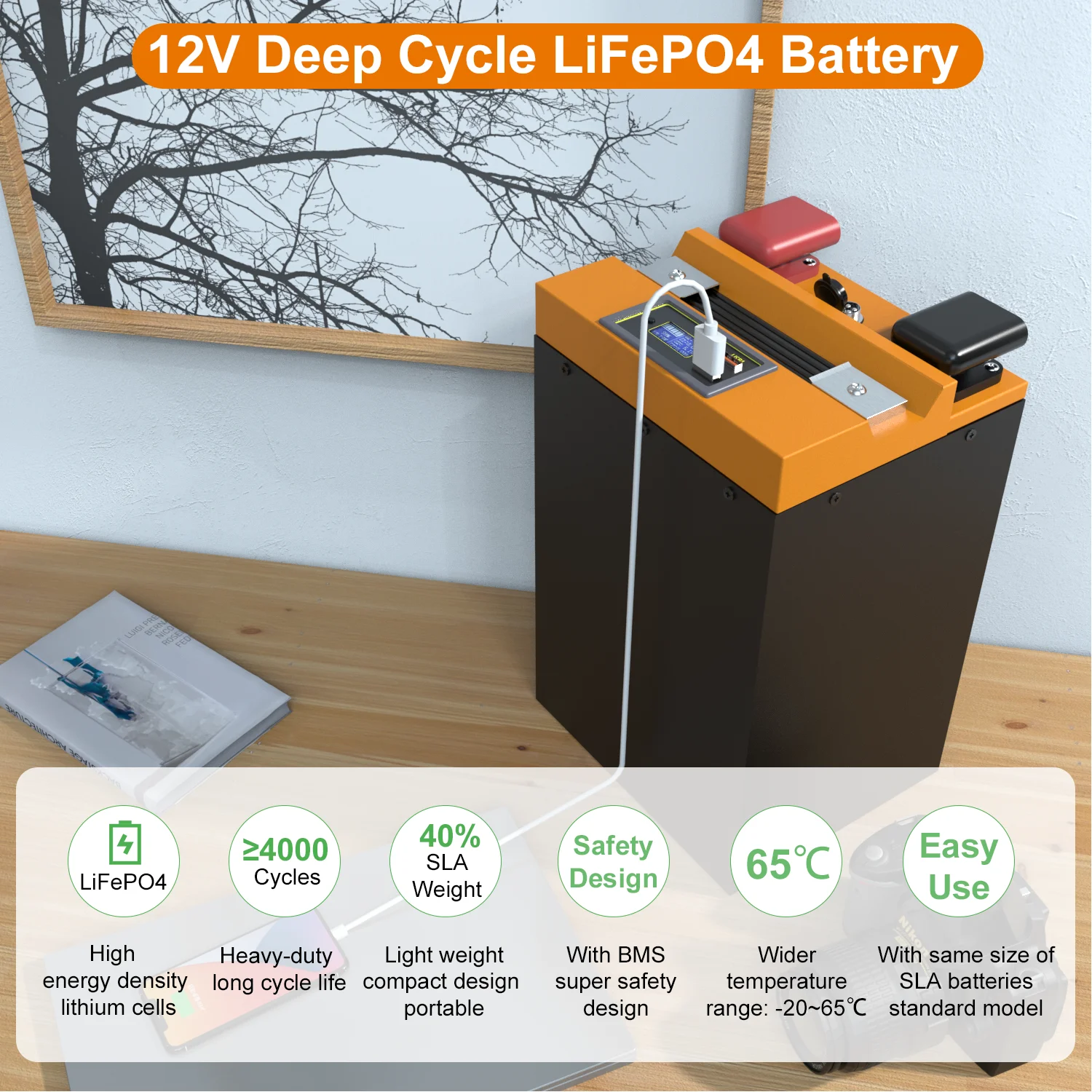 Фото Литий-железо-фосфатный аккумулятор LiFePO4 12В 100Ач, 4000 циклов, 2 USB, 5А, перезаряжаемый №4