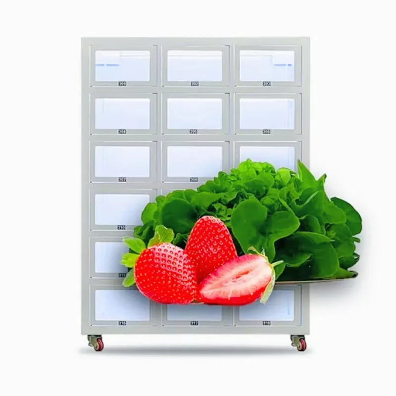 Умный шкафчик для еды с комнатной температурой торговый автомат свежих