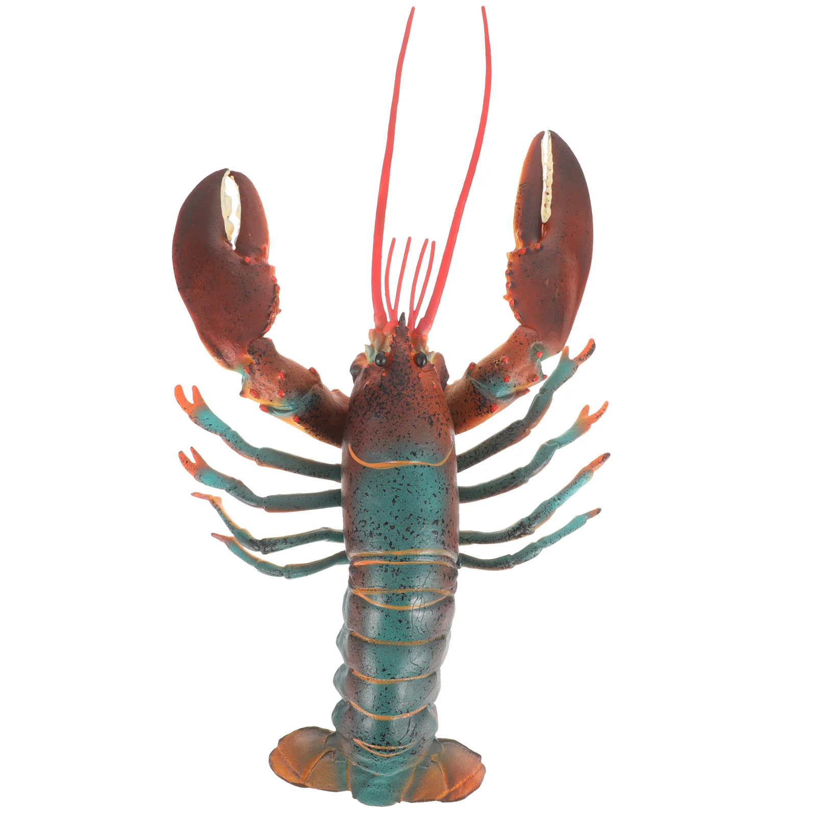 

Decorative Toy Home Party Model Cognitive Plaything Lifelike Lobster Model Fake Lobster Toy Plastic Lobster Model