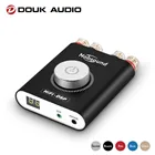 Цифровой усилитель мощности Douk audio HiFi NS-20G Mini Bluetooth 5,0 TPA3116 Hi-Fi DSP стерео усилитель для наушников 100 Вт + 100 Вт с адаптером