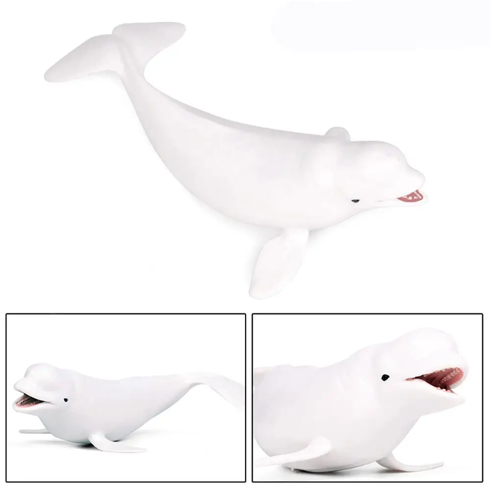 

Nature Educational Toy Science Early Learning White Whale Models Marine Organism Beluga Figurines Simulation Sealife