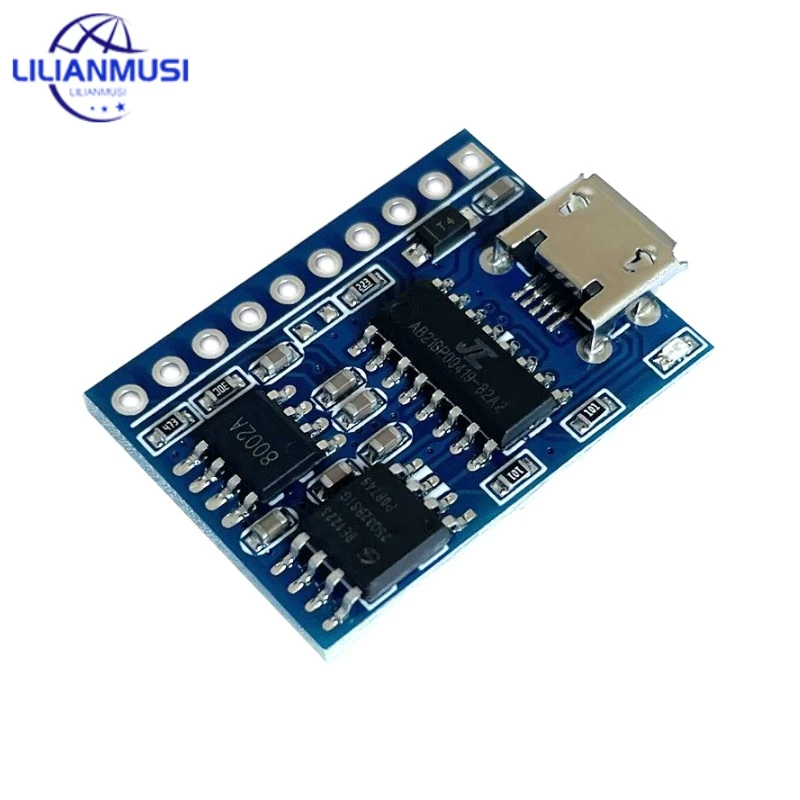 Module For Toy