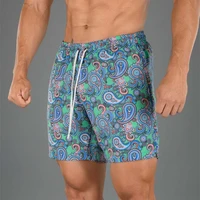 2022 summer new beach mens casual pants hawaii quick drying mens short cool fashion mens swimming trunks