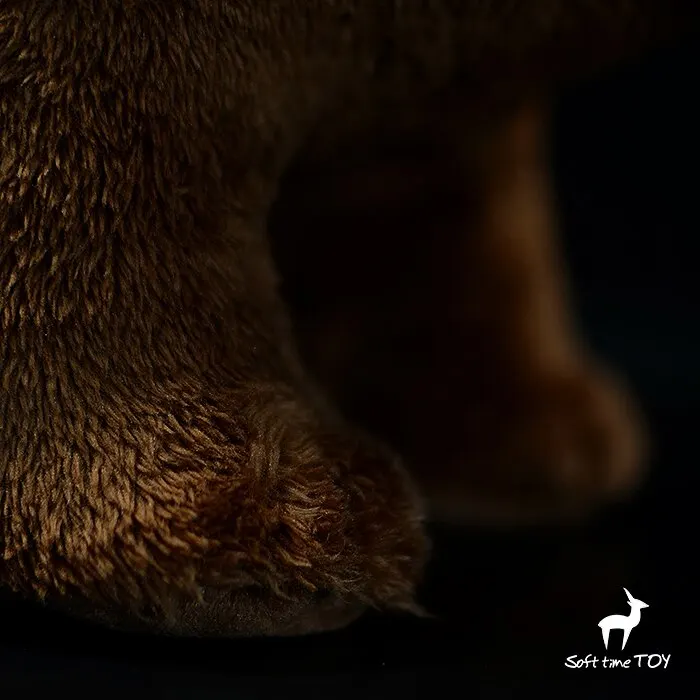 Фото 40 см, Ursus arctos, Бурый медведь, Декоративные фигурки, Маленькие украшения и миниатюрные модели №5