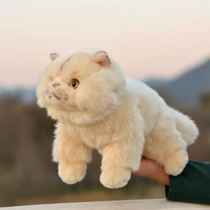 

Подарочная модель fat face cat