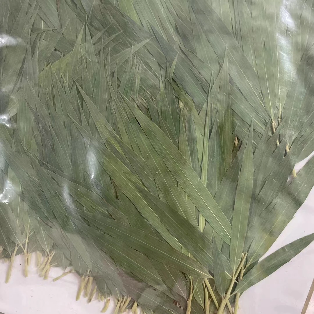 250 шт. зеленые бамбуковые листья и травы |