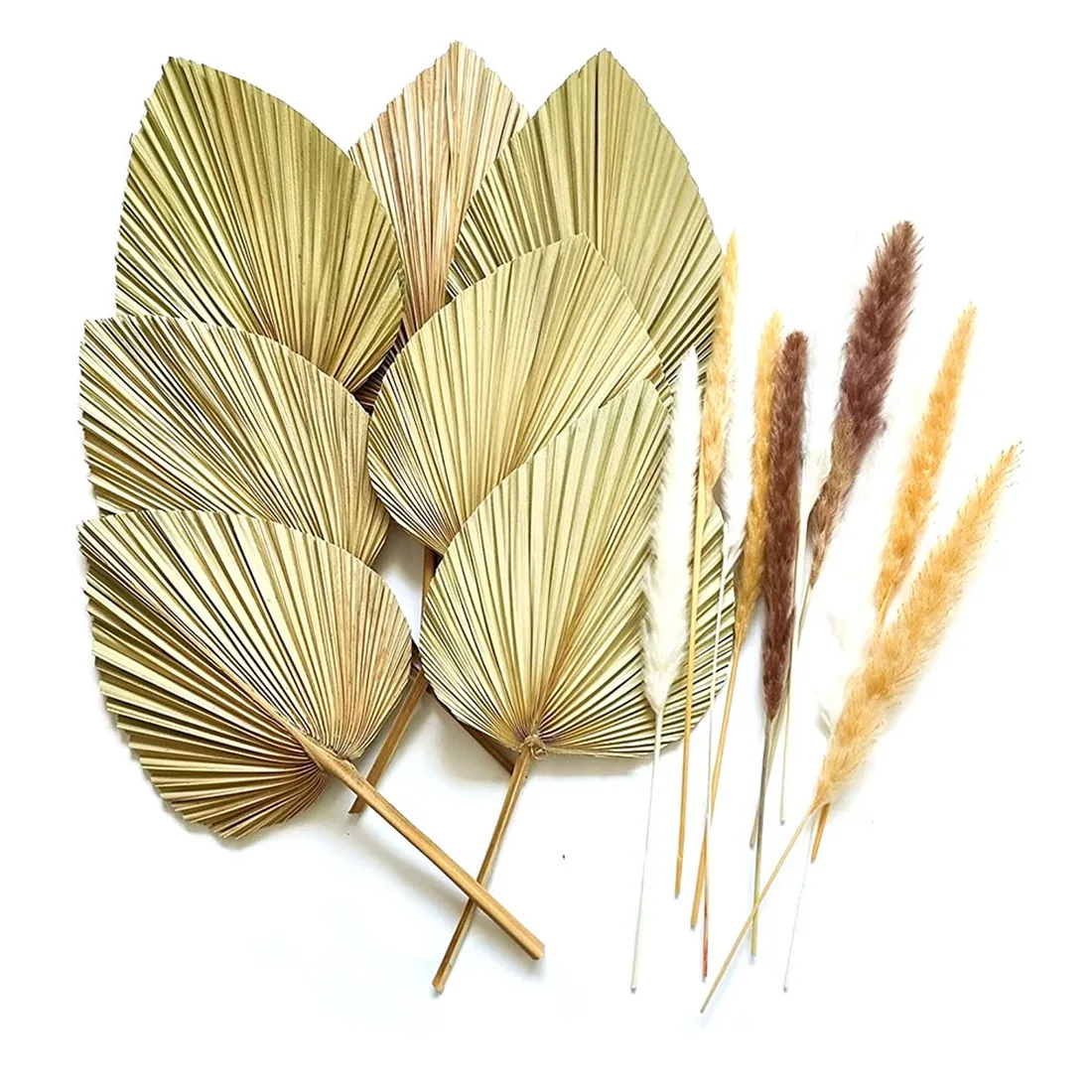 

7 Pieces Dried Palm Leaves Natural Dried Fan Leaf Palm Fronds 10 Stems of Natural Dried Pampas Grass for Home Decor
