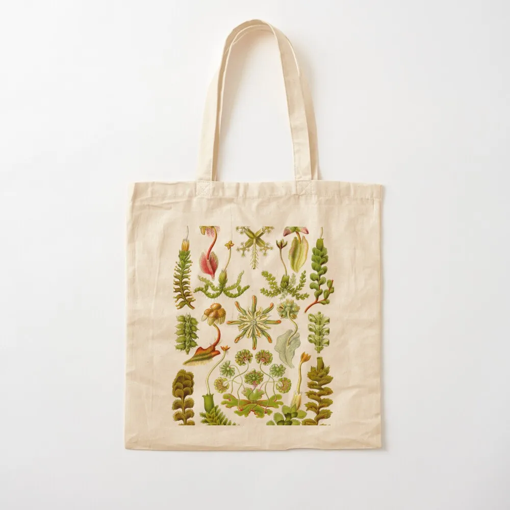 Hepaticae - Ernst Haeckel Tote Bag сумка-тоут на заказ холщовая сумка для покупок подарочная