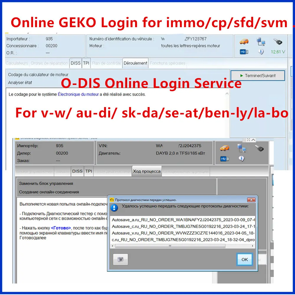 Программатор ODIS для входа в Интранет CNP _ Новый программатор ODIS GEKO Установка онлайн входа для автомобиля VA 5054 AS6154 программное кодирование услуги