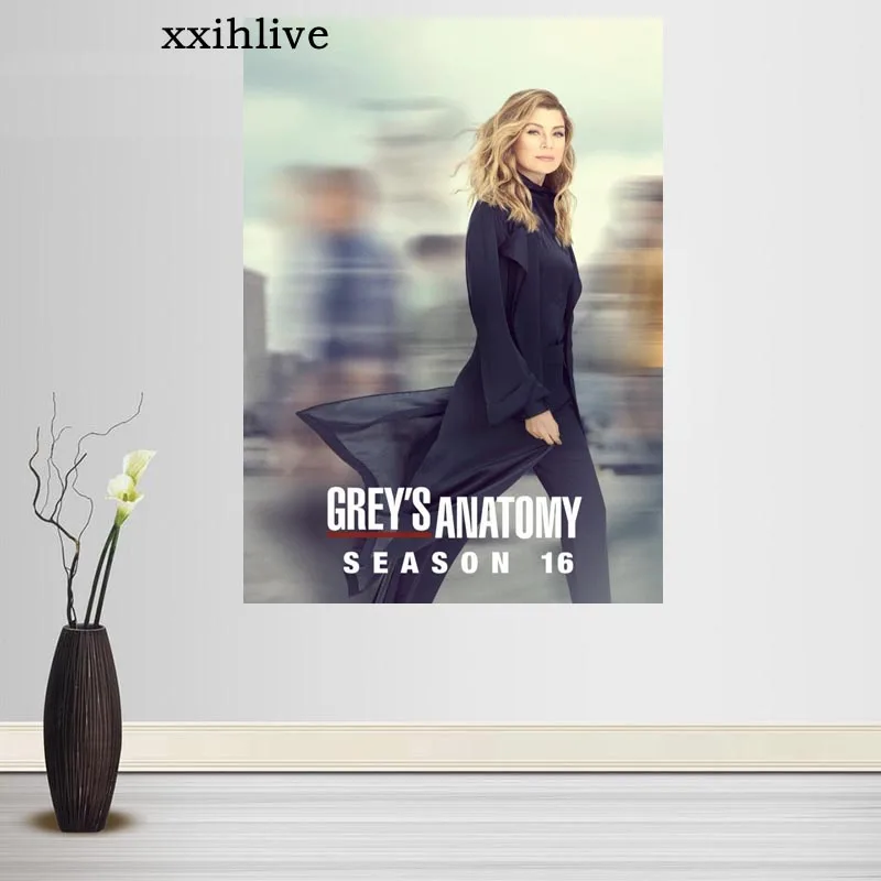 Телевизионные постеры с анатомией Грея настенный художественный декор картина