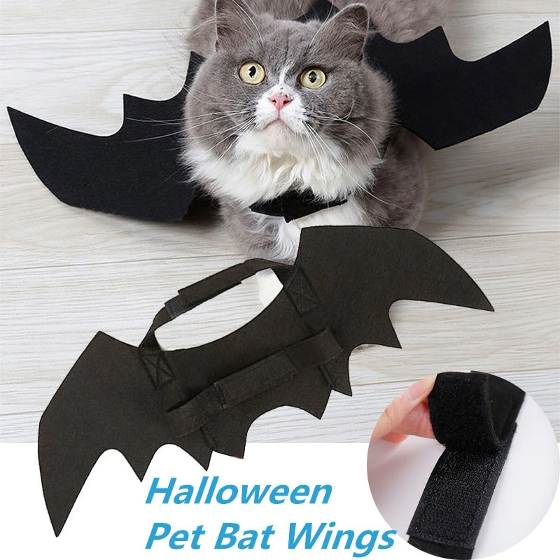 

Cute Halloween Cat Costume Small Pet Cat Bat Wings Halloween Pet Wings Hallowen Cat Accessories Halloween Dress Up Decorations