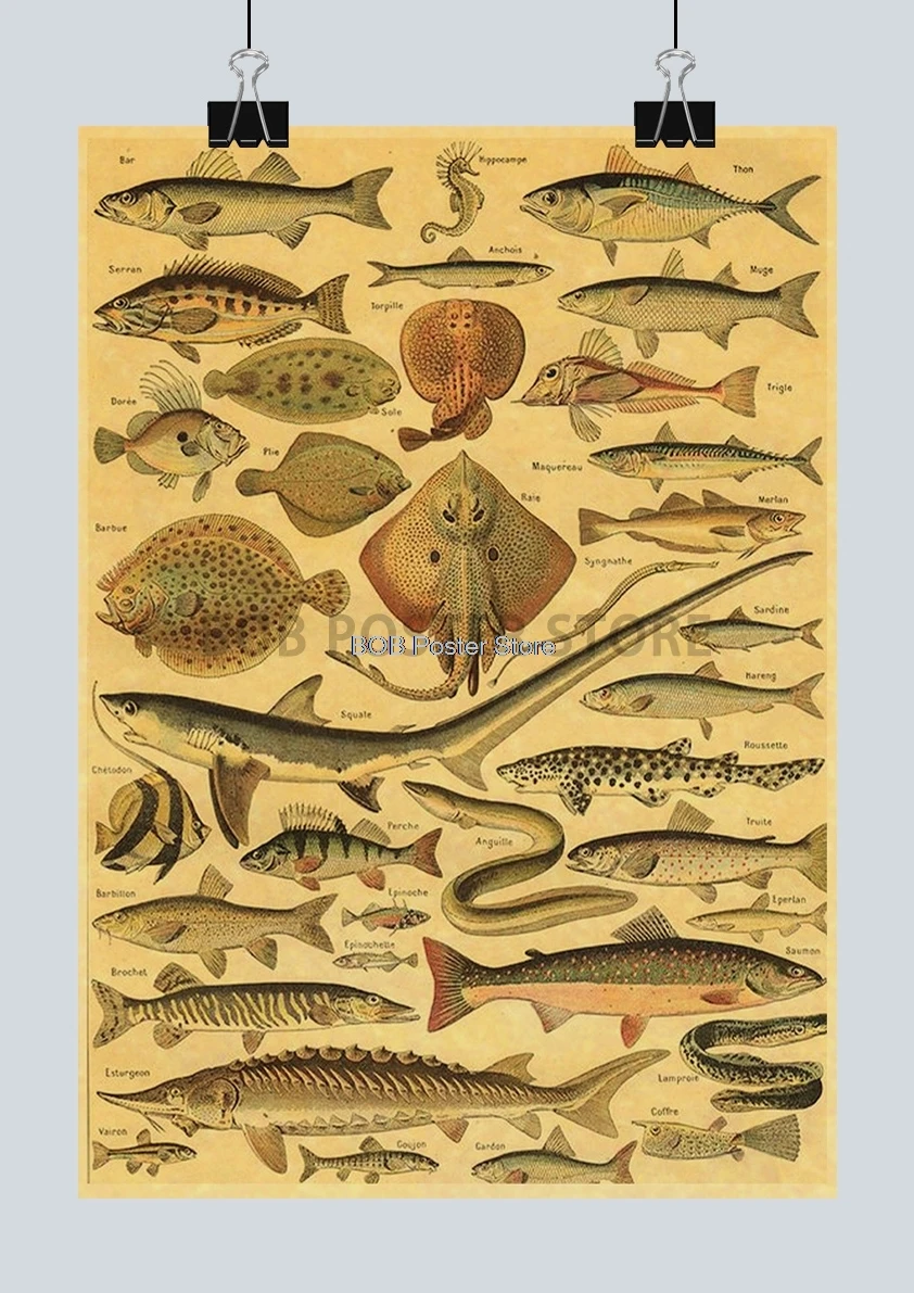 

Постер Lanxihaibao с фантастическими существами