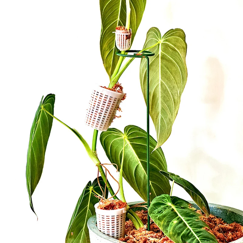 

1PC Climbing Plant Indoor Plant Support Extension Pole Stick Climbing Creepers Moss