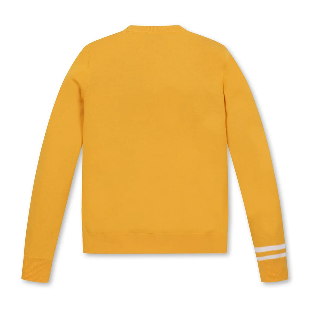 Бренд Charm женский теплый вязаный свитер модный дизайн осенний топ для гольфа