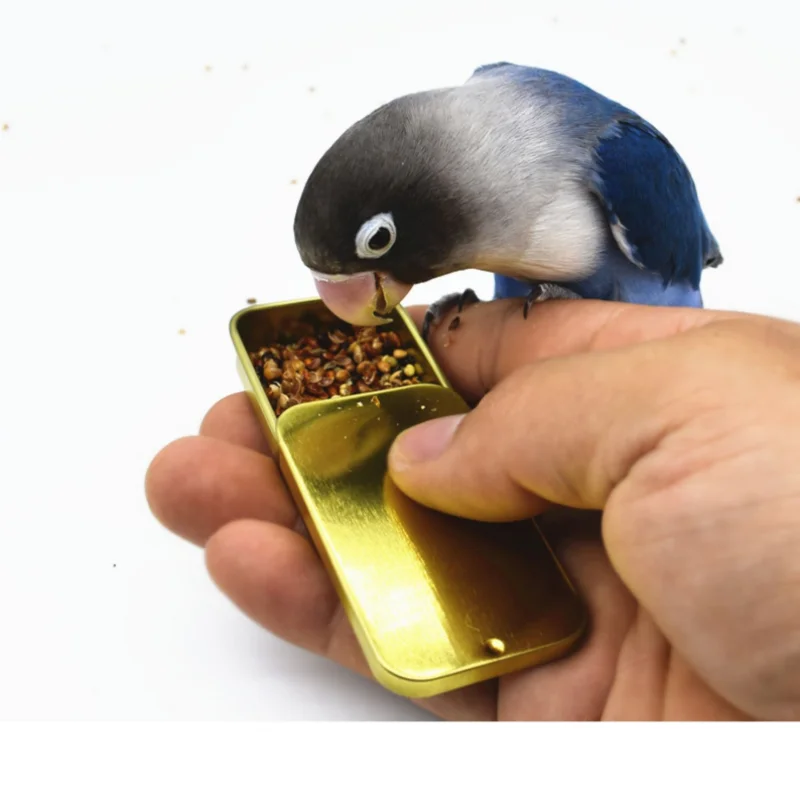 Металлическая жестяная мини-жесть прямоугольные пустые жестяные банки Домашний