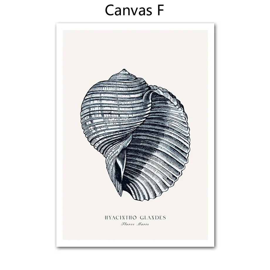 

Настенная картина "Пляжная раковина" Gotinkart