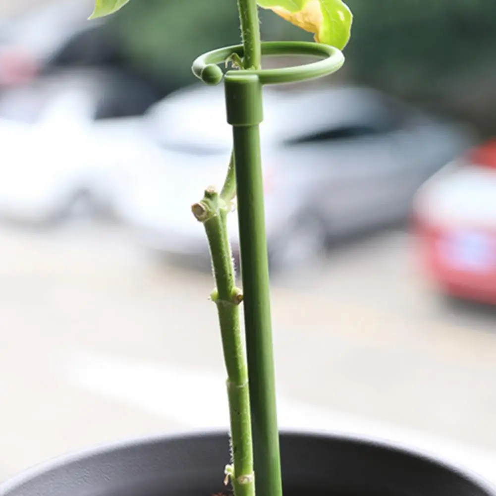 

Plant Climbing Frame Long-lasting Gardening Tool Easy Installation Pot Stand Plant Support Stakes Plant Support Pole