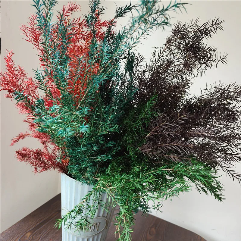 

Dry Preserved Flowers Decoration Preserved Melaleuca Bracteata Green Color