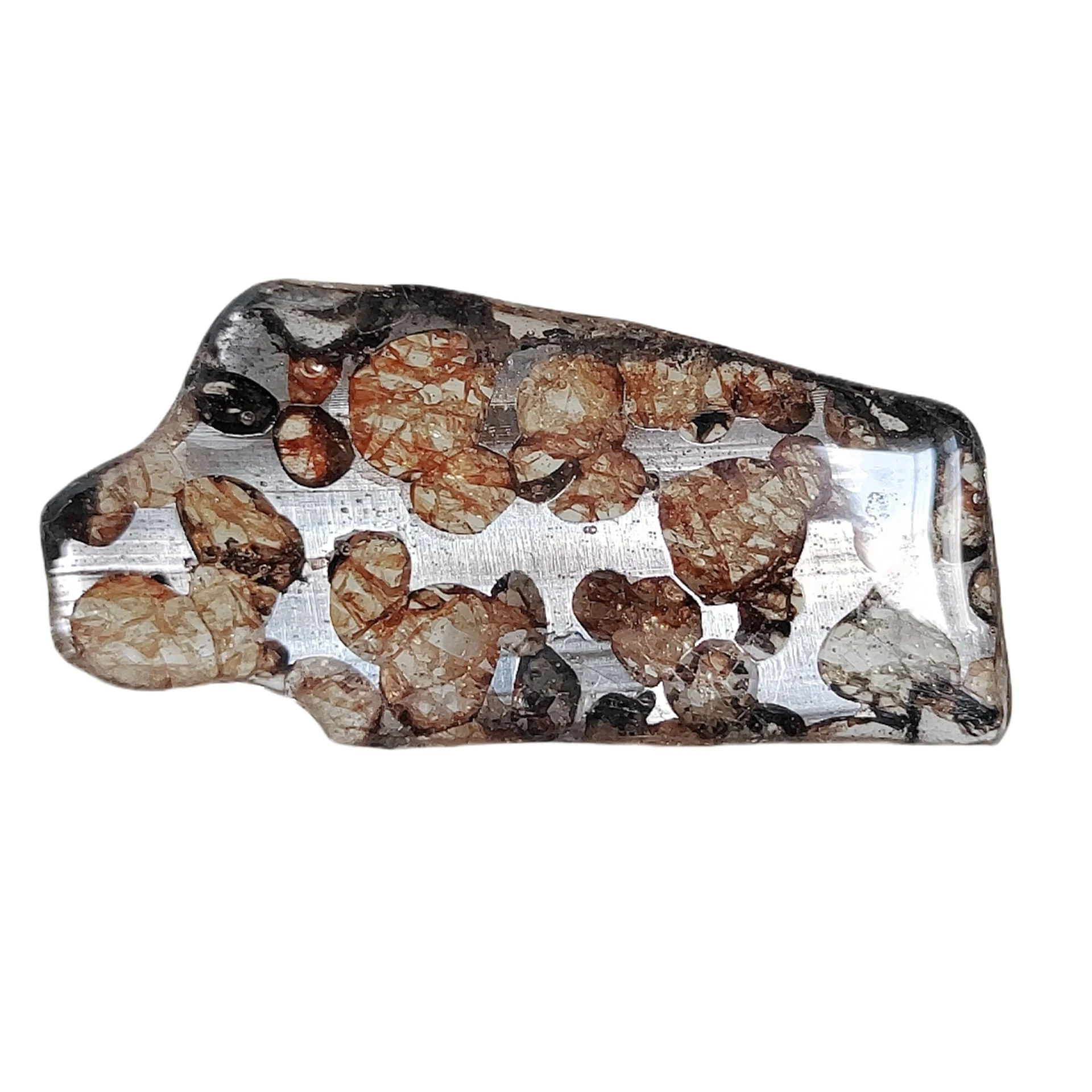5 1 г Seymchan Pallasite ломтики оливкового метеорита образец натурального нарезанная