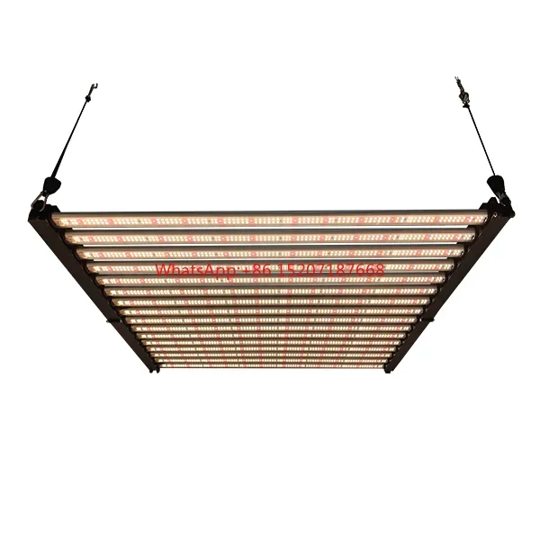 Американский Таиландский светодиодный светильник высокой интенсивности 1000 Вт