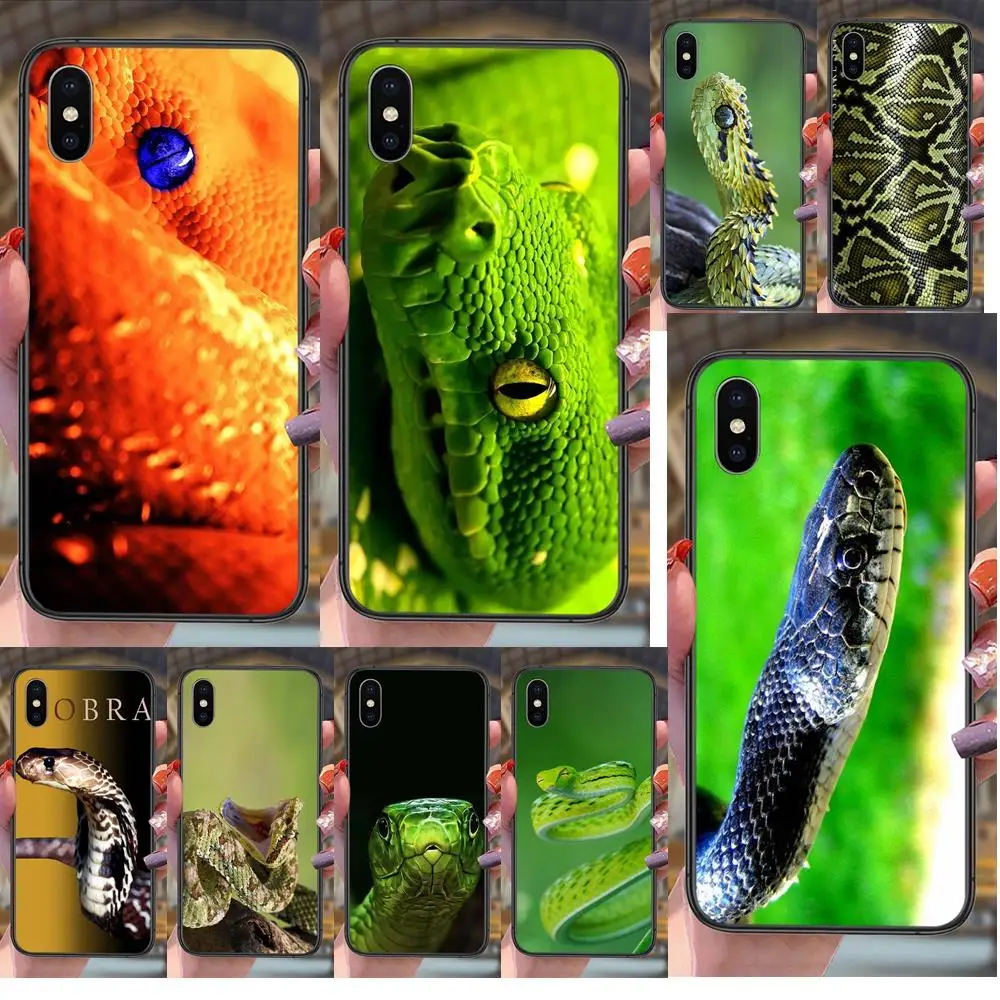 

Snakes High Quality Phone Cover For Samsung Galaxy J1 J2 J3 J4 J5 J6 J7 2016 2017 2018 Core Duo Max Plus Pro Prime Outlet