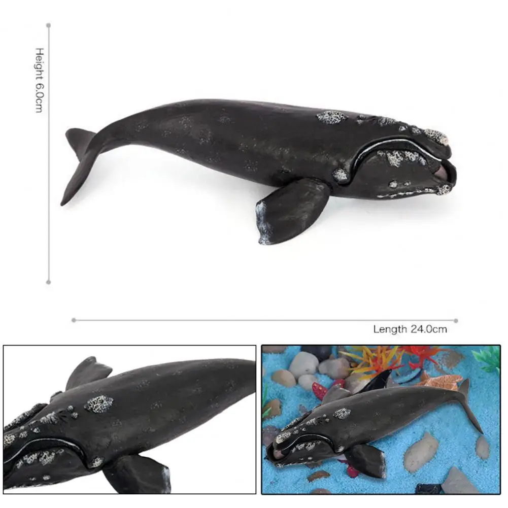 Модель правого кита игрушка для жизни реалистичная фигурка скульптура детей