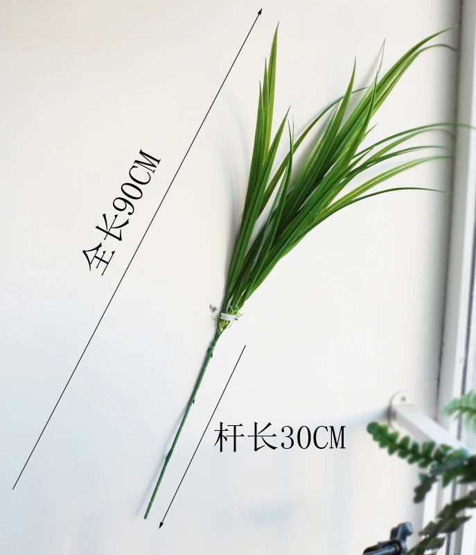 3-крашеная Магнолия цветок орхидеи травяная линия рассады травы широколистная