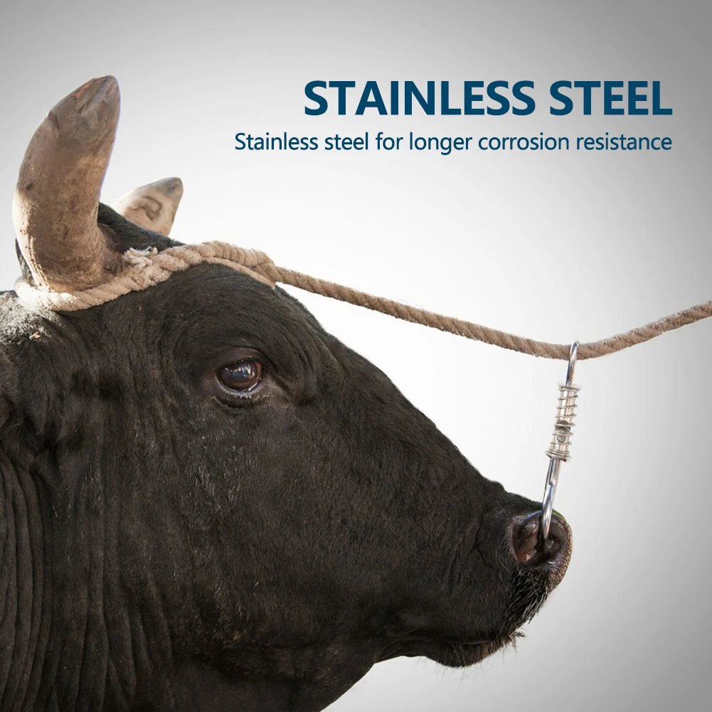 бык в загоне. веревка для коровы. теленок привязан. корова на привязи. недоуздок для коровы.