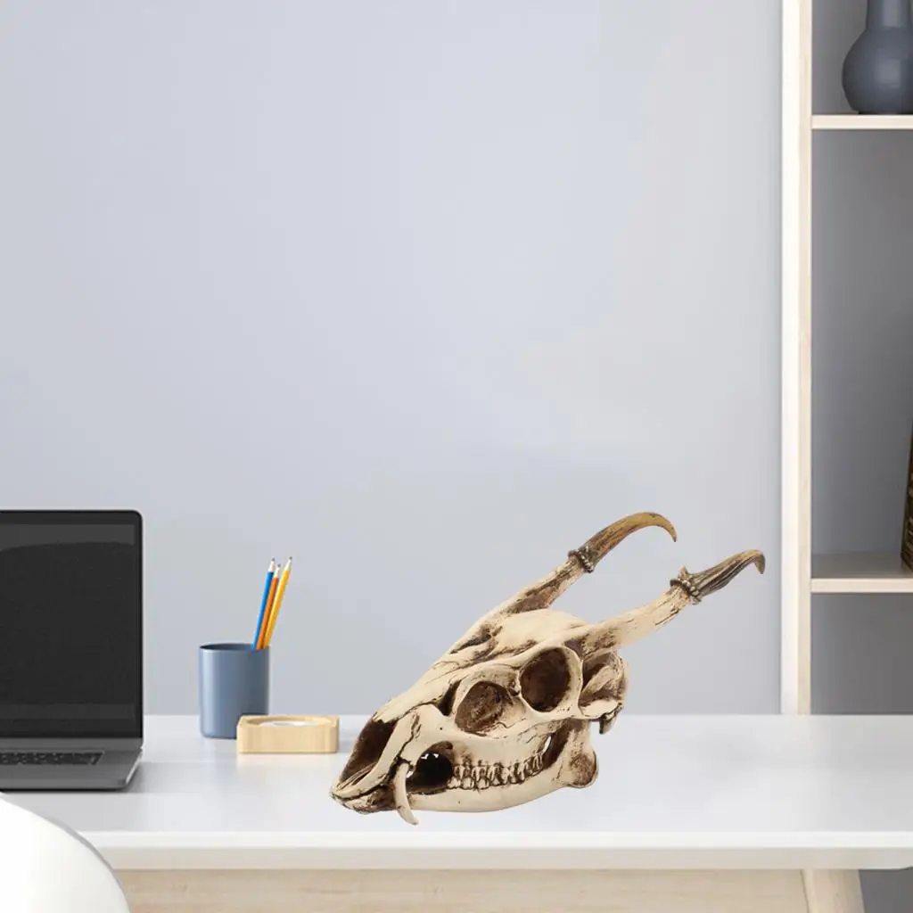 

Ракетка для тенниса EVA, пенопластовый сердечник, удобная подушка для пляжа