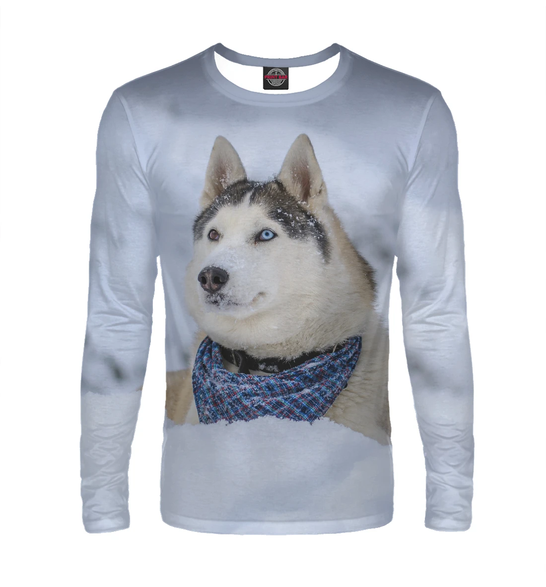 Хаски в одежде. Хаски мужские на молнии"кондор". Хаски в одежде. Хаски в одежде. Свитер с принтом хаски.