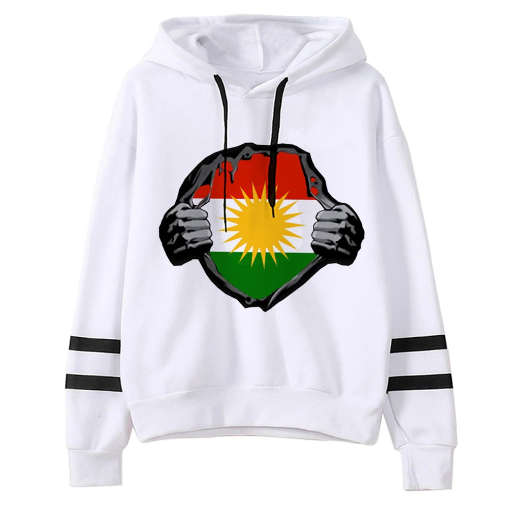 

Худи Kurdistan y2k y2k женское флисовое с капюшоном
