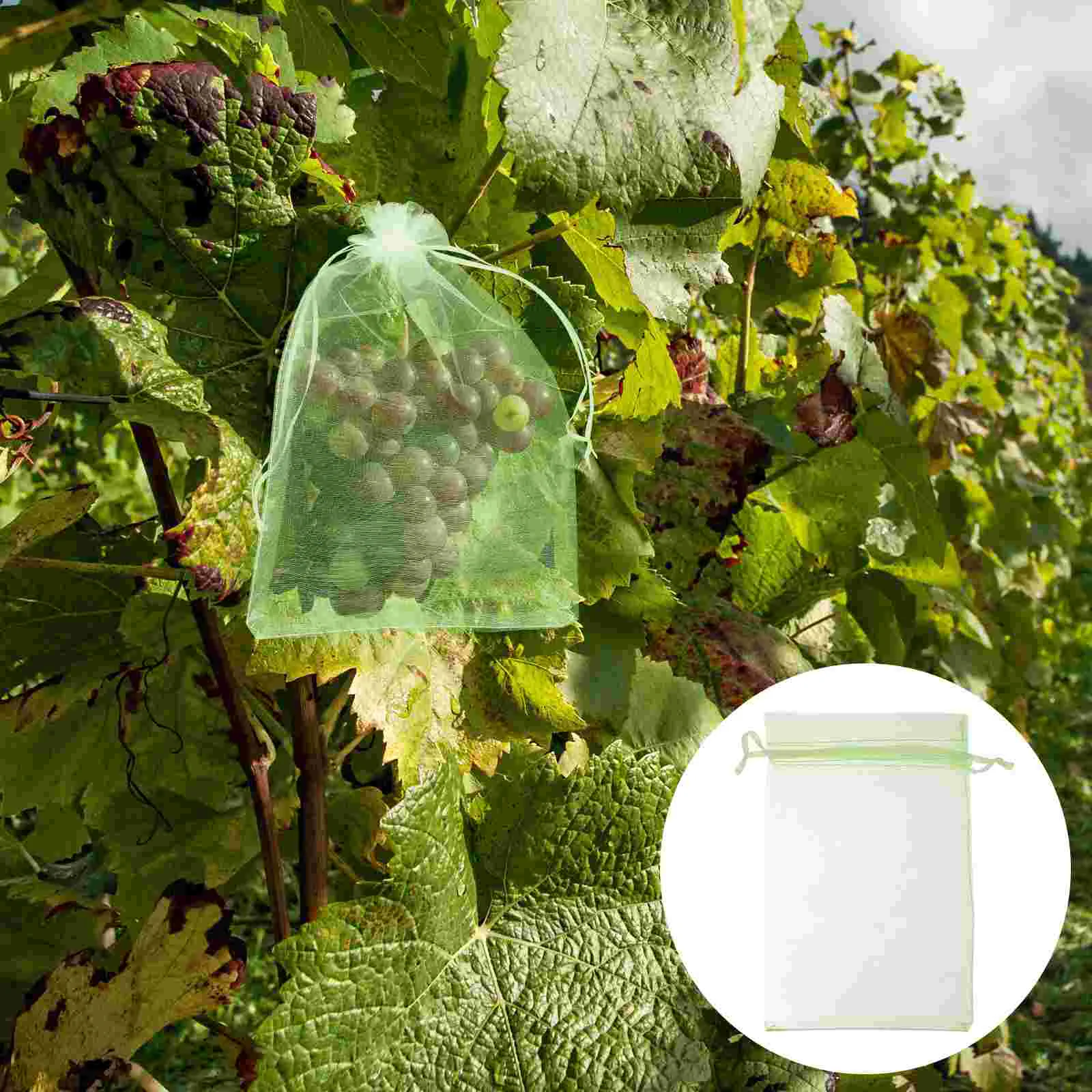 

Fruit Netting Grape Barrier Garden Mesh Insect Cover Net Tree Grow Mosquito Tomato Bug Covers Flower Reusable Nursery Protector