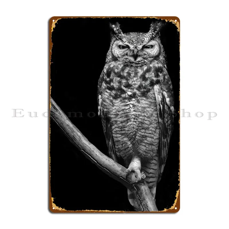 

Металлический плакат в виде совы, Настенный декор, пещера, дизайн кинотеатра, жестяной плакат